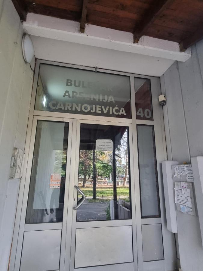 דירות בלגרד Hawaii- 2 Bdr, Arena, Sava Centar, Free Parking מראה חיצוני תמונה